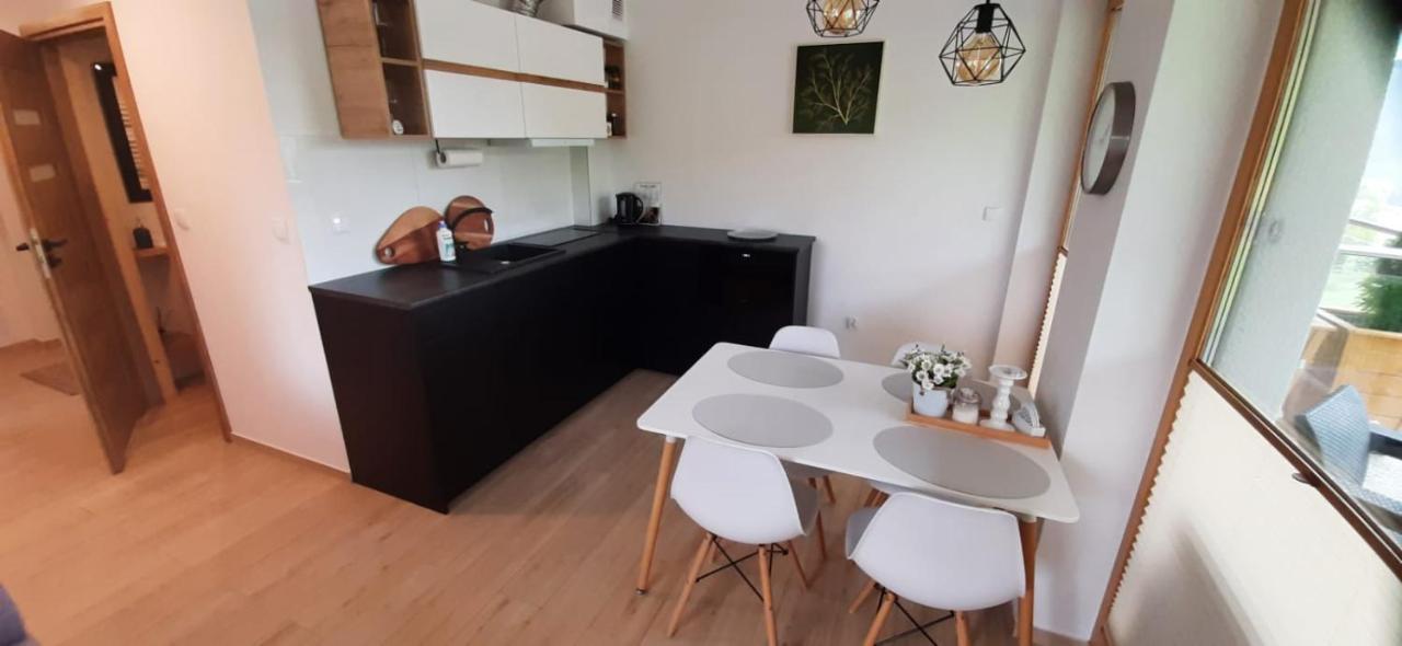 Apartamenty Bachledzki Wierch Zakopane Exterior photo
